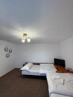 Casa de vacanta Anca - Ciuruleasa - 2