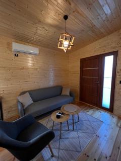 Casa Arte - Kravlja - 7