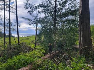 Funky Forest Eco Reserve Campground - 9