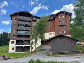 Duplex 2 étoiles aux pieds des pistes avec balcon, parking et équipement complet - FR-1-642-19 - Morillon - 2