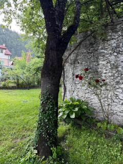 Apartments and Rooms MN, Konjic - Konjic - 9