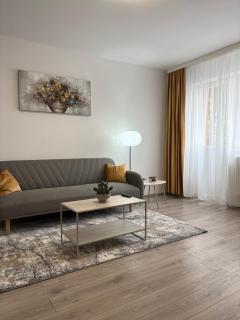 UltraCentral Apartament - Alba Iulia - 7