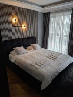 Luxury Hideaway & Parking in North Bucharest - Voluntari - 6