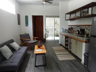 Casa IGUANA - Santa Teresa Beach - 2