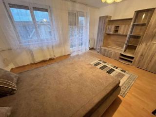 Quelle Apartment in Downtown with private garden - Kecskemét - 8