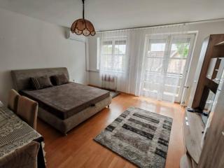 Quelle Apartment in Downtown with private garden - Kecskemét - 5