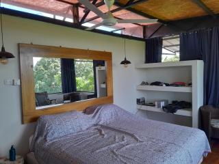 Guacamayo Azul - Iquitos - 8