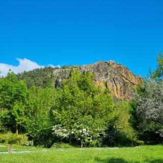 Tiny house en pleine nature - Arsac-en-Velay - 4