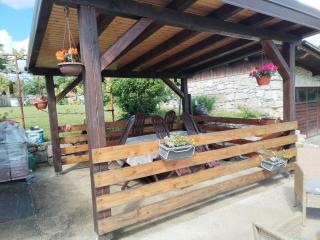 Yellow Rose - Rakovica - 1