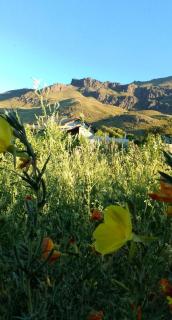 Del Viento - San Martín de los Andes - 8