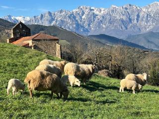 Casa La Linda - Cabezón de Liébana - 1