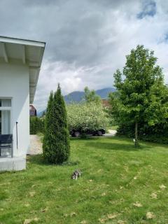 FLORES, Ferienhaus oder Doppelzimmer, im Grünen, 5 Gehminuten ins Zentrum, Parkplatz, zero emissions - Bad Ischl - 2