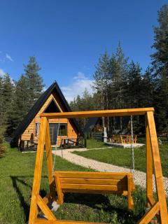 Pine forest-Black - Žabljak - 4