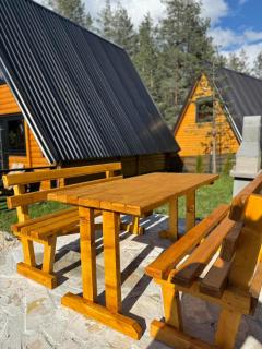 Pine forest-Black - Žabljak - 3
