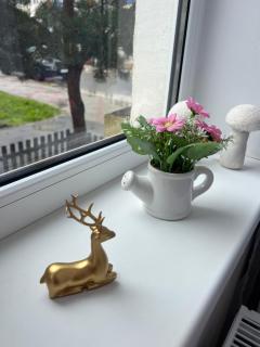 Hășmaș Peak Escape - 4