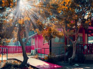 The Wooden Rose Cabins - Beẕet - 3