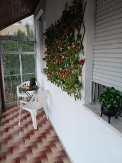 Maison Rustique - Tarouca - 3