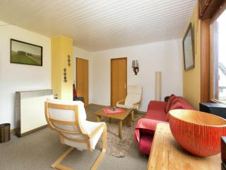 Holiday Home in Liebenscheid near Fuchskaute - Liebenscheid - 2