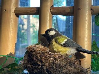 Bed&Breakfast Kamersven - 3