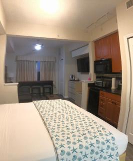 Universal-Disney Dream Studio Ap - The Point - Orlando - 0