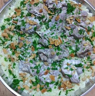 شلنر موتل - 5