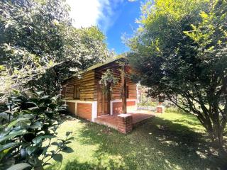 Cabañas los Lirios de Apaneca - Apaneca - 5