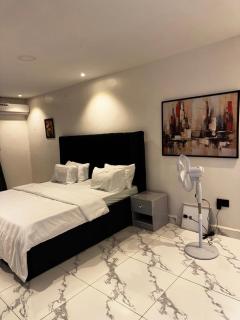 Debdan Luxury Apartments - Araromi - 5
