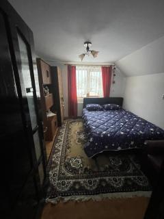 Casa Larisa - Cacica - 4