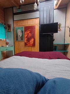 Apartamento Hortensias del Lago - Puerto Varas - 6