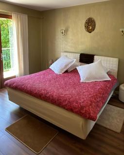 La maison d'Irene Un havre de paix romantique avec bois privatif - Mareuil-sur-Cher - 0