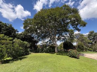 Casa de campo - Itaúna - 9