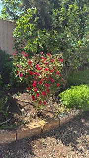 Auberge Abrar - Ben Slimane - 0