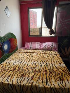 Casita del arbol Hostel - San Salvador de Jujuy - 6