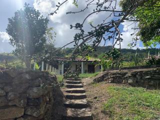 Sitio BOEIROS - Casa de campo em uma pequena fazenda de limões - Pombos - 9