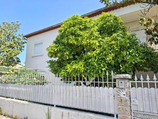 Lady ROSE Nîmes House for 14 people - Caissargues - 7