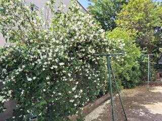 Lady ROSE Nîmes House for 14 people - Caissargues - 9
