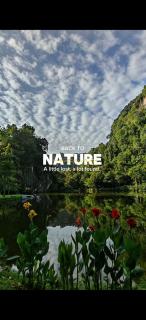 Magnificent Mountain & Lake Views' Suite Cycas - Kampong Batu Lapan - 0