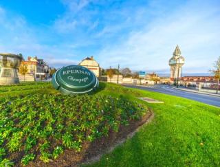 Fine bulle en Champagne - 1 chambre - Terrasse - 4