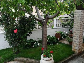 Apartments and rooms with parking space Premantura, Medulin - 24363 - Pula - 5