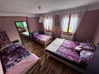 Holiday house with a parking space Kamenski Hrib, Gorski kotar - 24427 - Plešce - 8