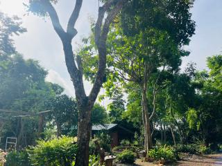 The Cave Suite - Obosomasi - 7