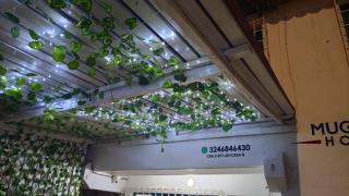 Mucho lo Bueno - Hostel House - Santa Marta - 3