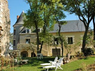 Château médiéval avec piscine privée et jardin, animaux acceptés - FR-1-381-410 - Saint-Bauld - 6