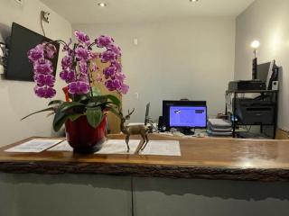 Dragon Gate Inn - 4