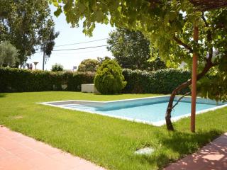 Besalu 30 - ES-89-143 - Sant Pere Pescador - 8