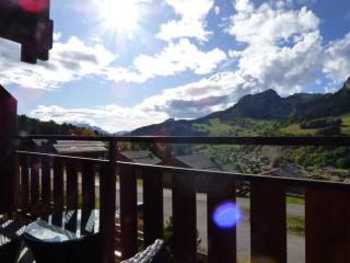 Studio rénové 4 pers - accès direct aux pistes - FR-1-458-224 - Le Grand-Bornand - 2