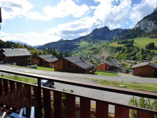 Studio rénové 4 pers - accès direct aux pistes - FR-1-458-224 - Le Grand-Bornand - 1