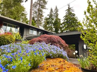 Enchanting home in the trees - Shoreline - 9