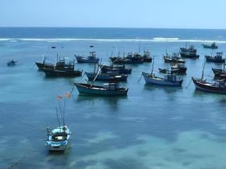 Hotel Tangoreef - Tangalle - 5