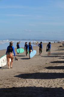 Beta Stay and Surf - 2